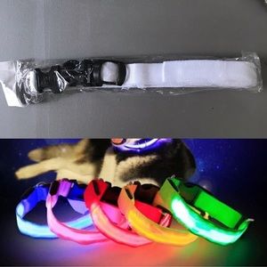 🐶 XL LED Dog Safety Collar White